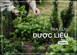 TRA CỨU CÂY DƯỢC LIỆU 